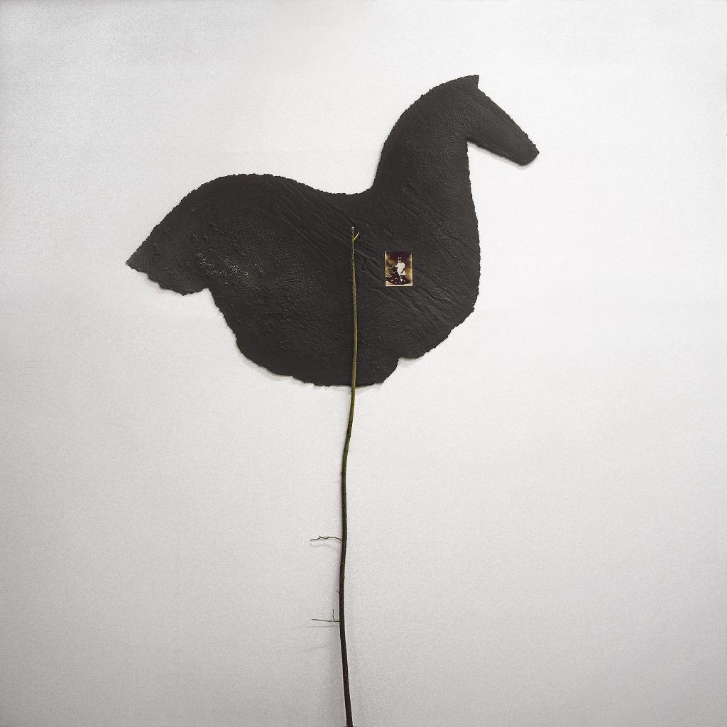 Little black horse (1988-89) Hand made paper, pigment, photo. 210 x 120 x 30 cm