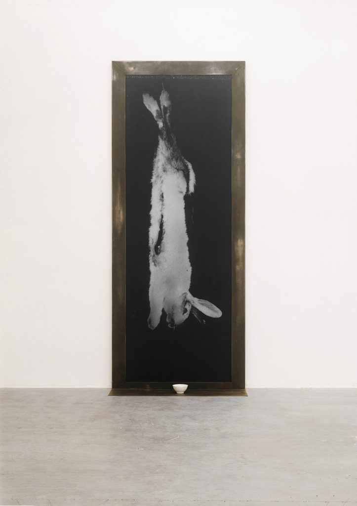Coniglio. Iron, macrodevelopment of photographic image, hand made paper. Collection of Museum of Sarajevo 300 x 125 x 60 cm