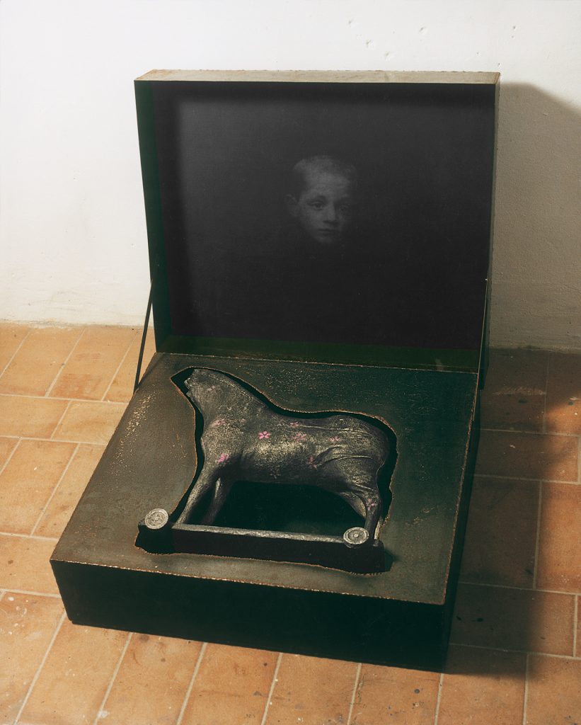 Little horse with pink daisies. (1991) Iron, macrodevelopment of photographic image, hand-made paper, pigment. 70 x 75 x 17cm (closed)