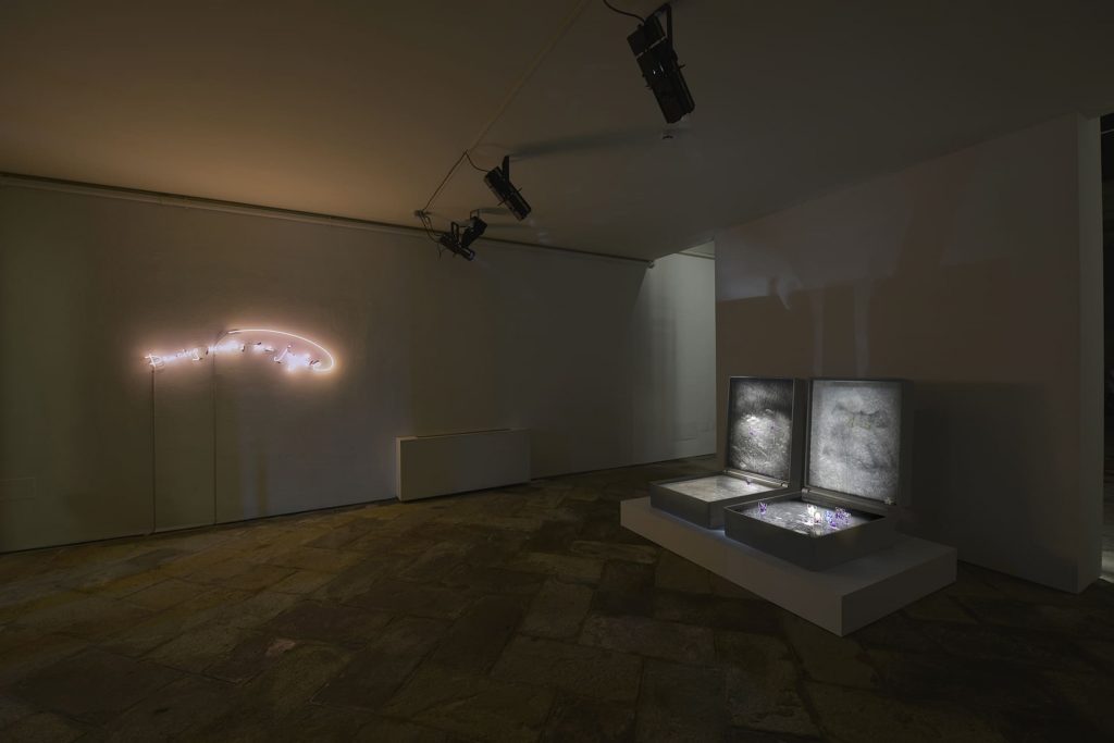 Dancing makes me joyful. Installation view with “La legge della stella e la formula del fiore”. Palazzo Flangini, Venice Biennale 2015